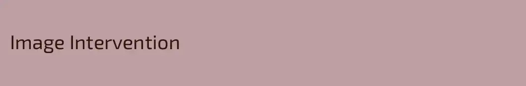 Image Intervention